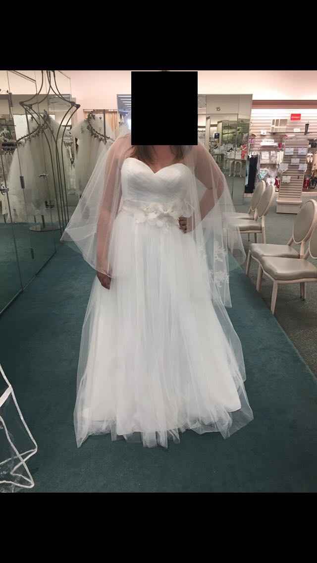  i work at Davids Bridal- now i can’t decide which dress!!! - 4