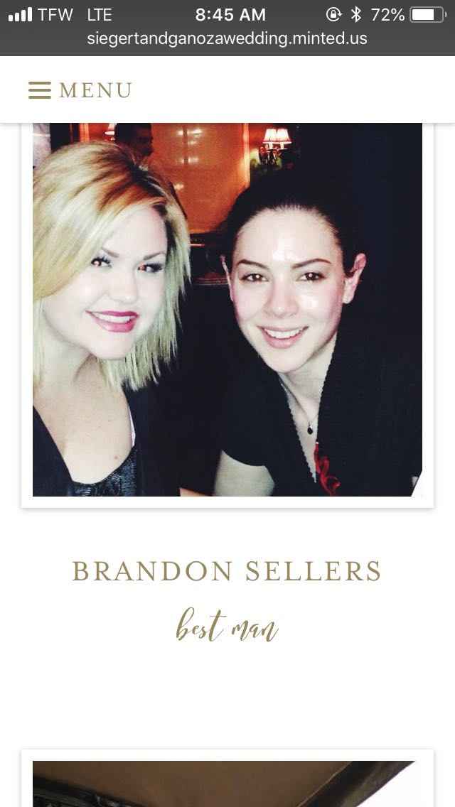 Wedding Website critique (please use discretion...i am trusting ya'll) - 1