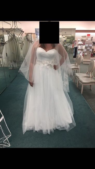  i work at Davids Bridal- now i can’t decide which dress!!! - 4