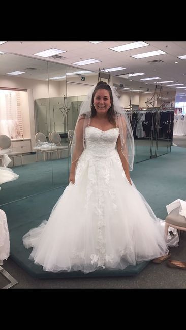 Plus size brides - 1