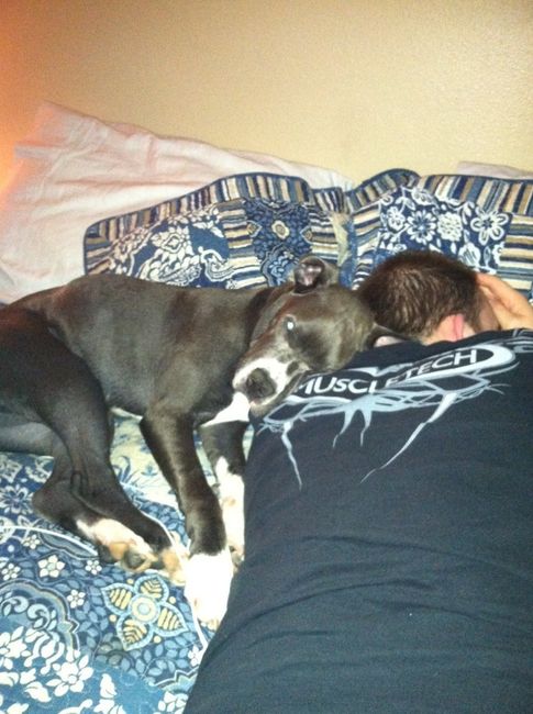 Fur babies :)