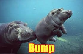 **Drum-roll Please...**