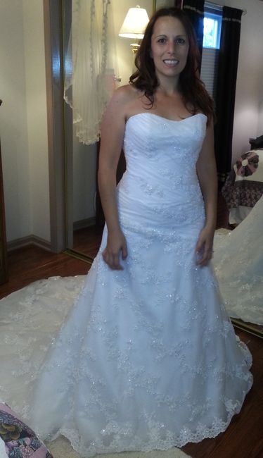 Wedding Dress Pictures! Please share yours!