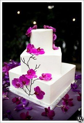 Show me your cakes