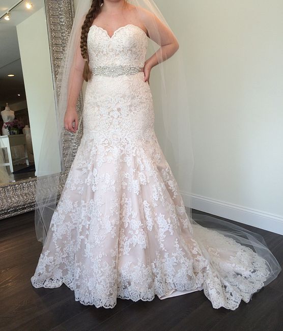 Opinions about champagne/ivory dress? (pic included)