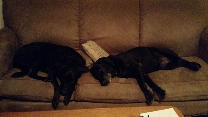 NWR- let me see your fur babies, awake and scared