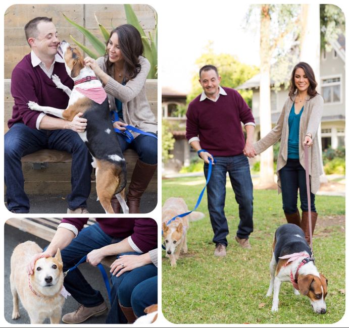 Engagement photos are in!!