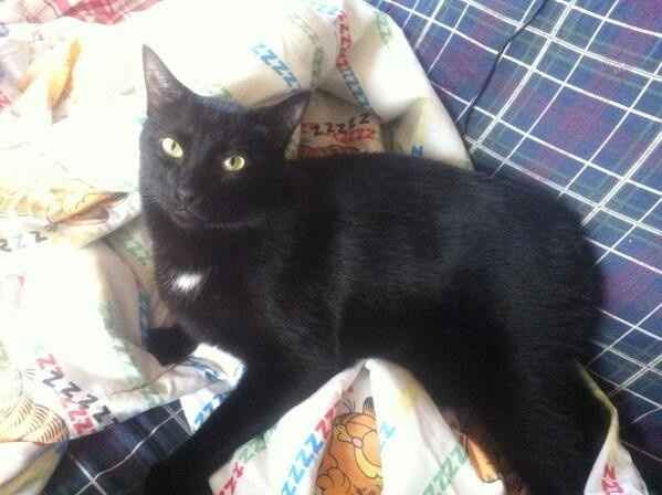 NWR- Furbaby Friday
