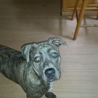 NWR- pets! We love them show me yours :)