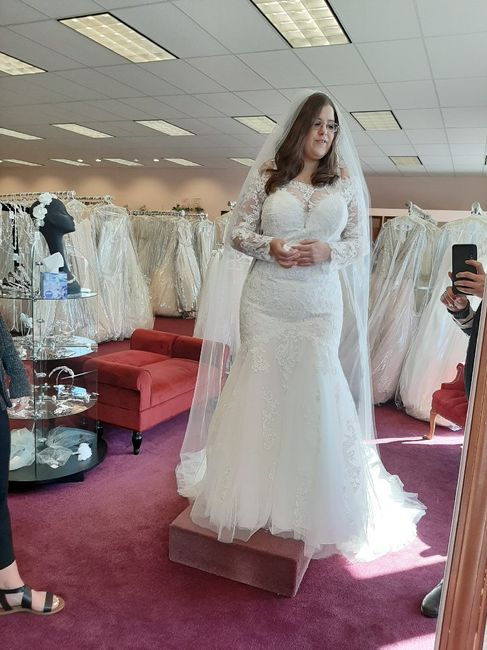Mermaid/trumpet wedding gowns! - 1