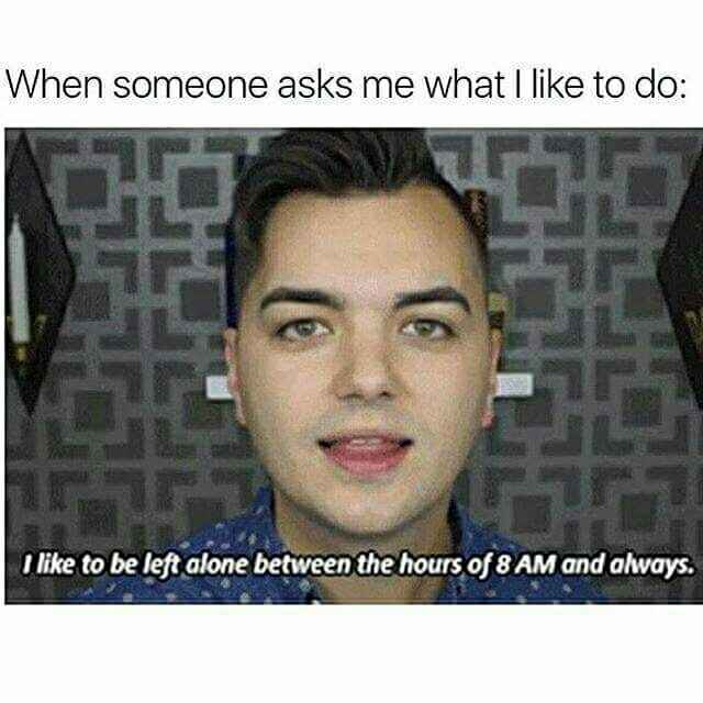 NWR: Memes & Cute Animal Pictures