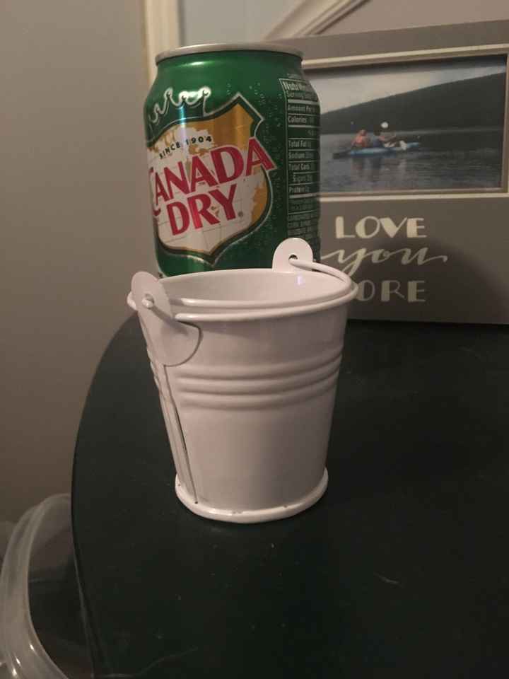 Succulents as favors?