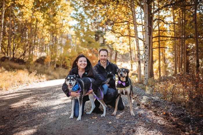 Fall Session with Dogs