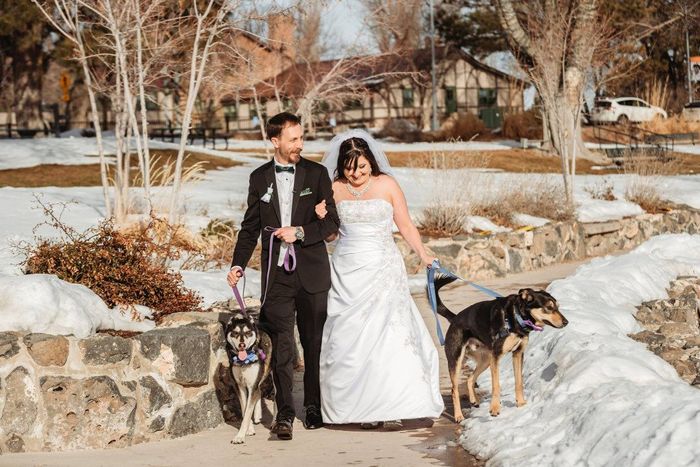 Dogs in the Destination Wedding? 1
