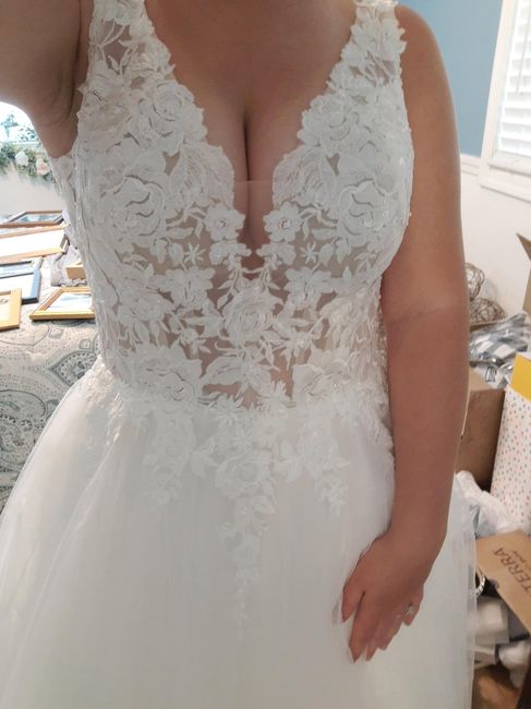 Misses Kisses - the front-less back-less "bra" - 1