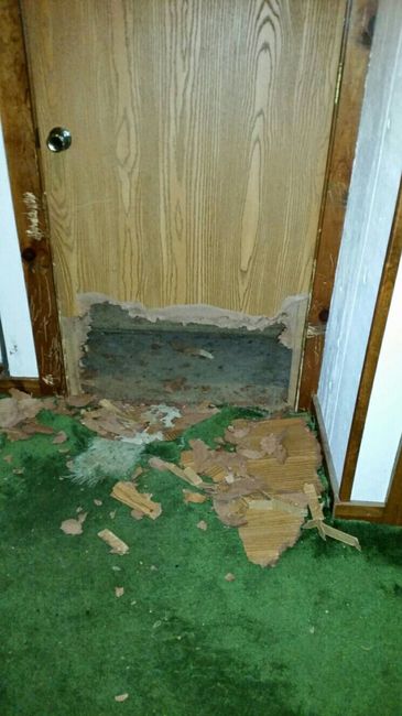 NWR: I came home to find this...when do dogs stop being a-holes?