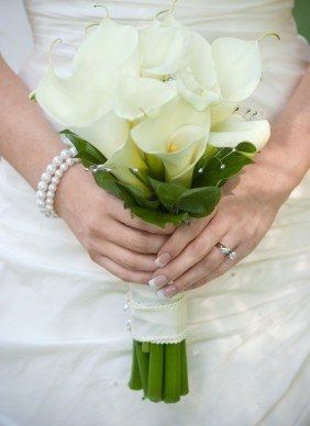 Calla Lilies yes or no??