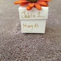 Show me your escort cards!