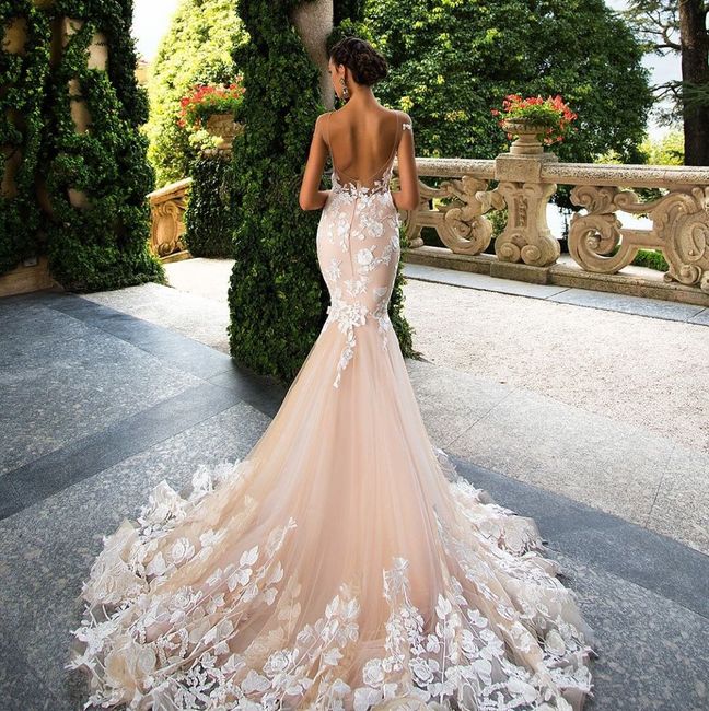 Any designers similar to Milla Nova Gowns? 5