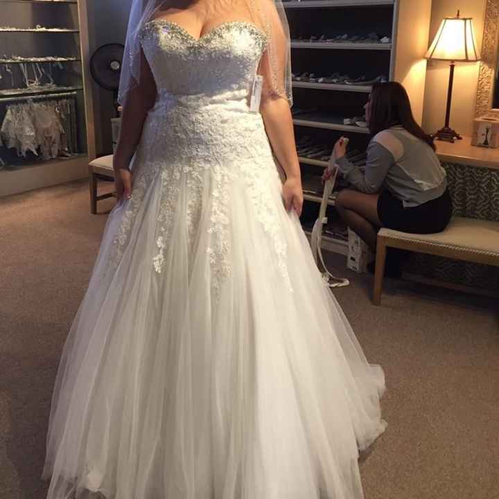 I think I'm saying YES to the Dress