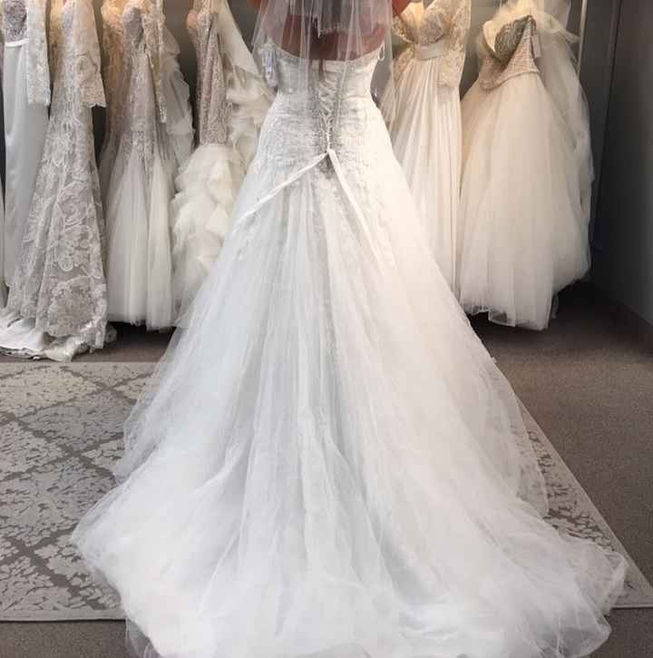Got my dress in finally !