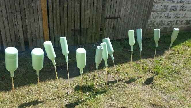 Painted wine bottles? Yay or nay