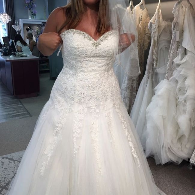Got my dress in finally !