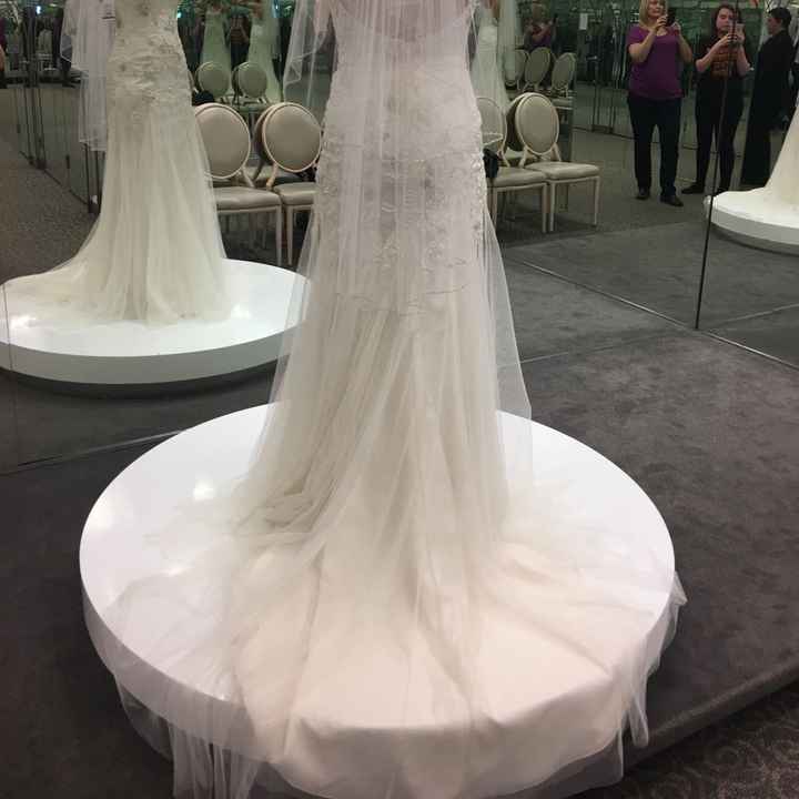 Davids Bridal Dresses!