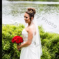 Updo hairstyles with veil (POST YOURS HERE)