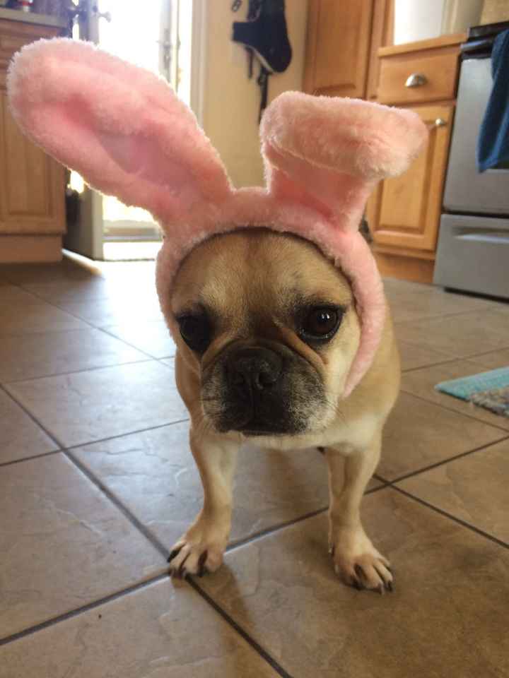 NwR: Happy Easter