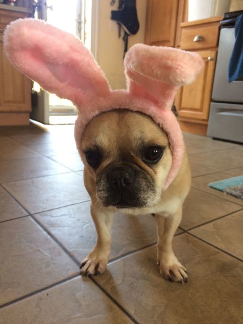 NwR: Happy Easter