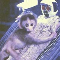 NWR: It's March 1st - and many B-day wishes to go around!!!