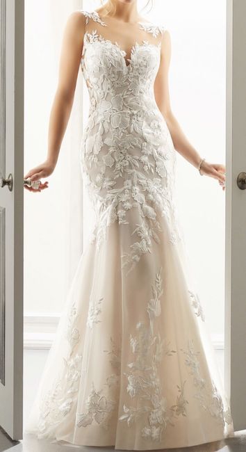 Said Yes to the Dress! But have some thoughts... - 1
