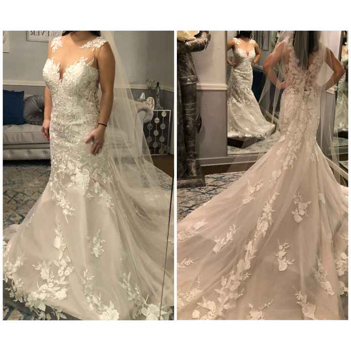 Said Yes to the Dress! But have some thoughts... - 1
