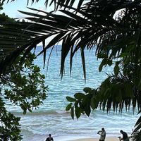Jamaica non-resort venues - 3