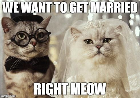  Post Your Wedding Memes - 1