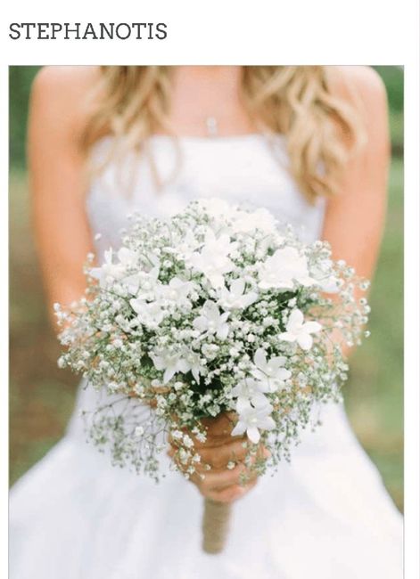 Flower identification help - 1