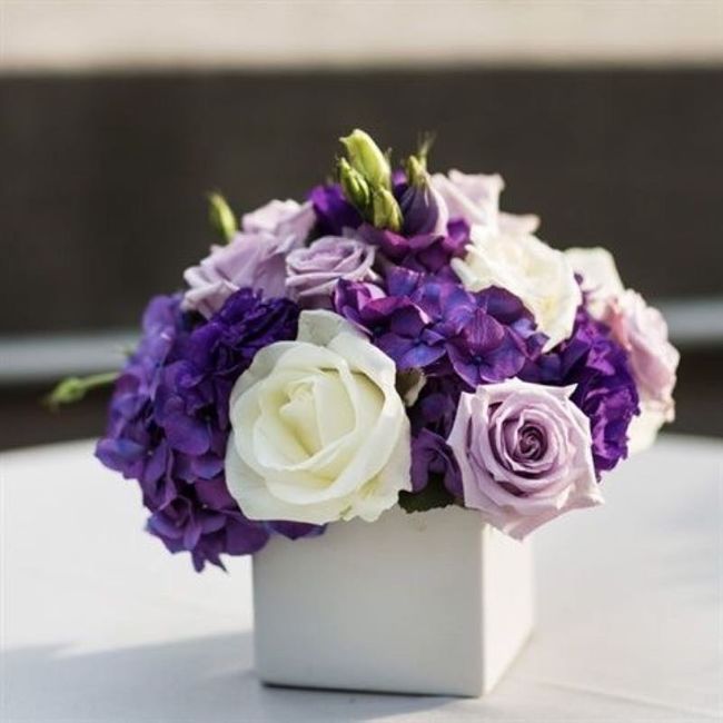 Wedding colors
