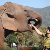 Thailand!! ❤️ Just a thought! - 2