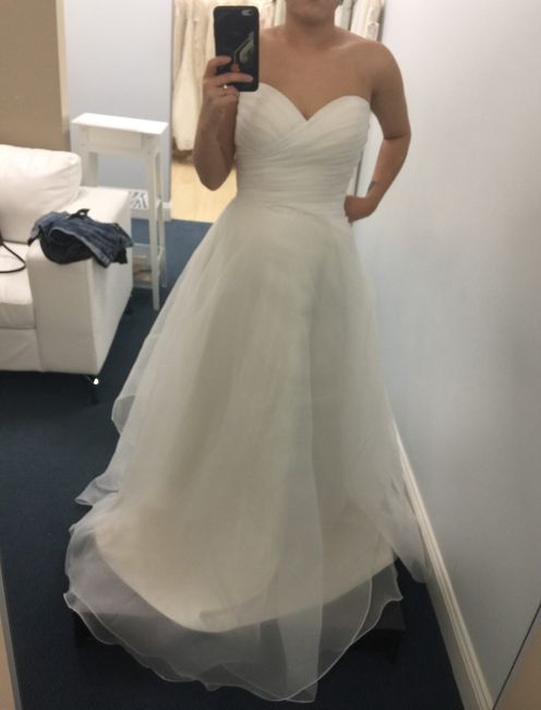 Bridesmaid Dress Help 1