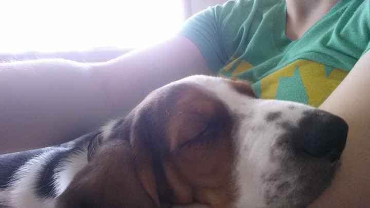 I Got A New Puppy Today!!