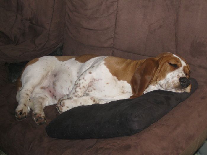 NWR.......FUR BABIES!!!!