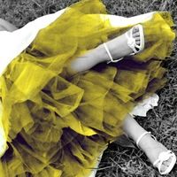 Colored Crinoline slip or petticoat.. what do you think?