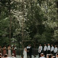 Flowerless Wedding anyone??? - 2