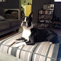 NWR Happy Fursday! Show me your fur babies!