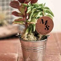 Guest favor. This or that? - 1