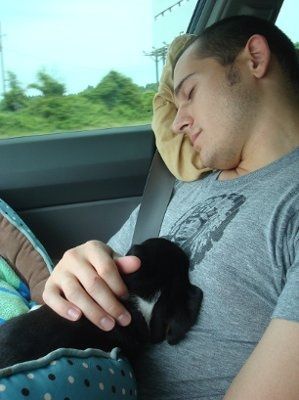 NWR: What kind of dog do you have?