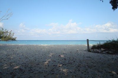 How did your FS propose?