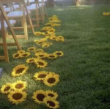 Outdoor/ Garden ceremony