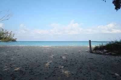 How did your FS propose?